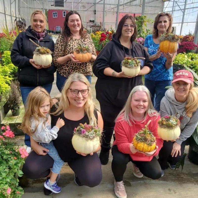 No-Carve Succulent Pumpkin Workshop
