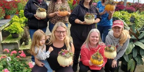 No-Carve Succulent Pumpkin Workshop