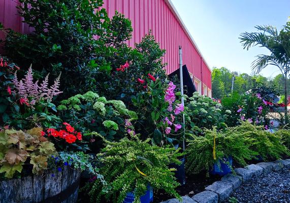 Colorful Displays by the Red Barn
