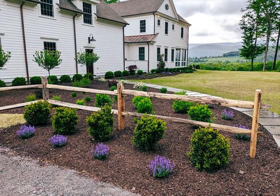 Split-Rail Garden with Lavender