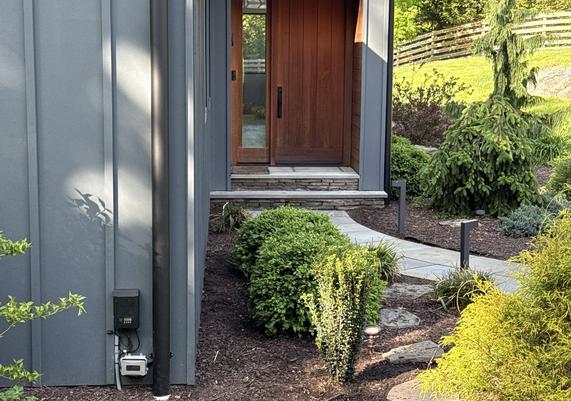 Modern Entry with Stepping Stones