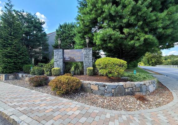 Paver Walk & Stone Wall Planting