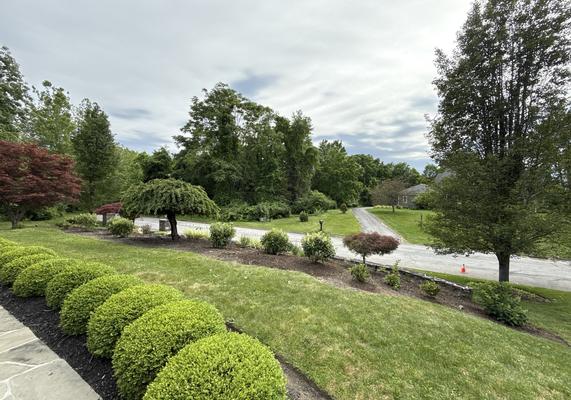 Boxwood Border Planting
