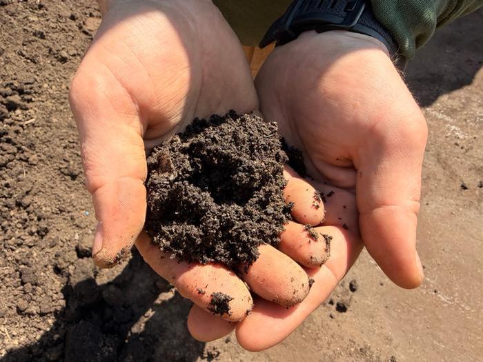 Compost