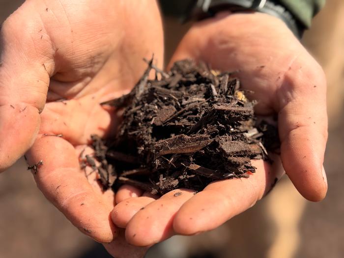 Dark Brown Mulch