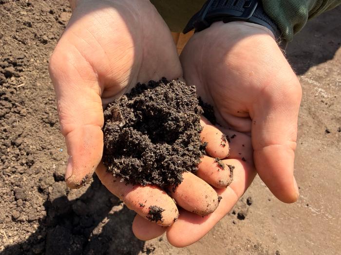 Compost