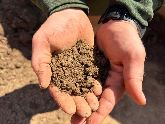 Screened Topsoil