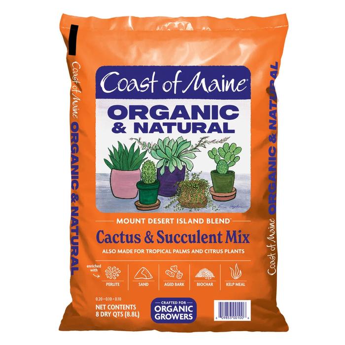 Coast of Maine Cactus & Succulent Mix 8qt. 