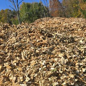 Wood Chips