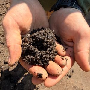 Compost